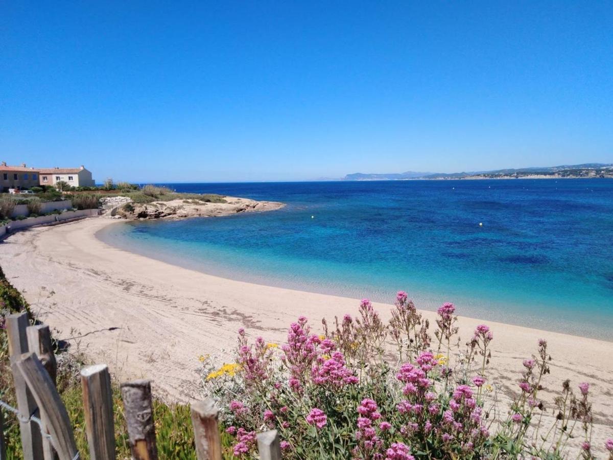 T3 Climatise Avec Jardin, Parking Prive, A 400M De La Plage Et Commerces - Fr-1-316-230 Six-Fours-les-Plages Exteriör bild